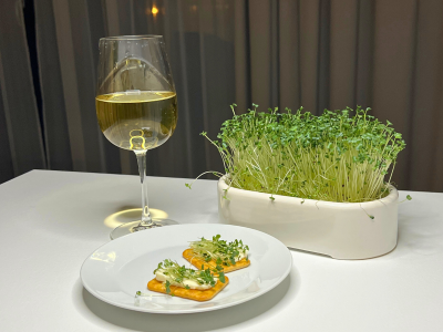 Cracker mit Schmelzkäse und Microgreens als Weinbegleitung